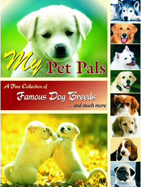 RGupta Ramesh My Pet Pals English Medium